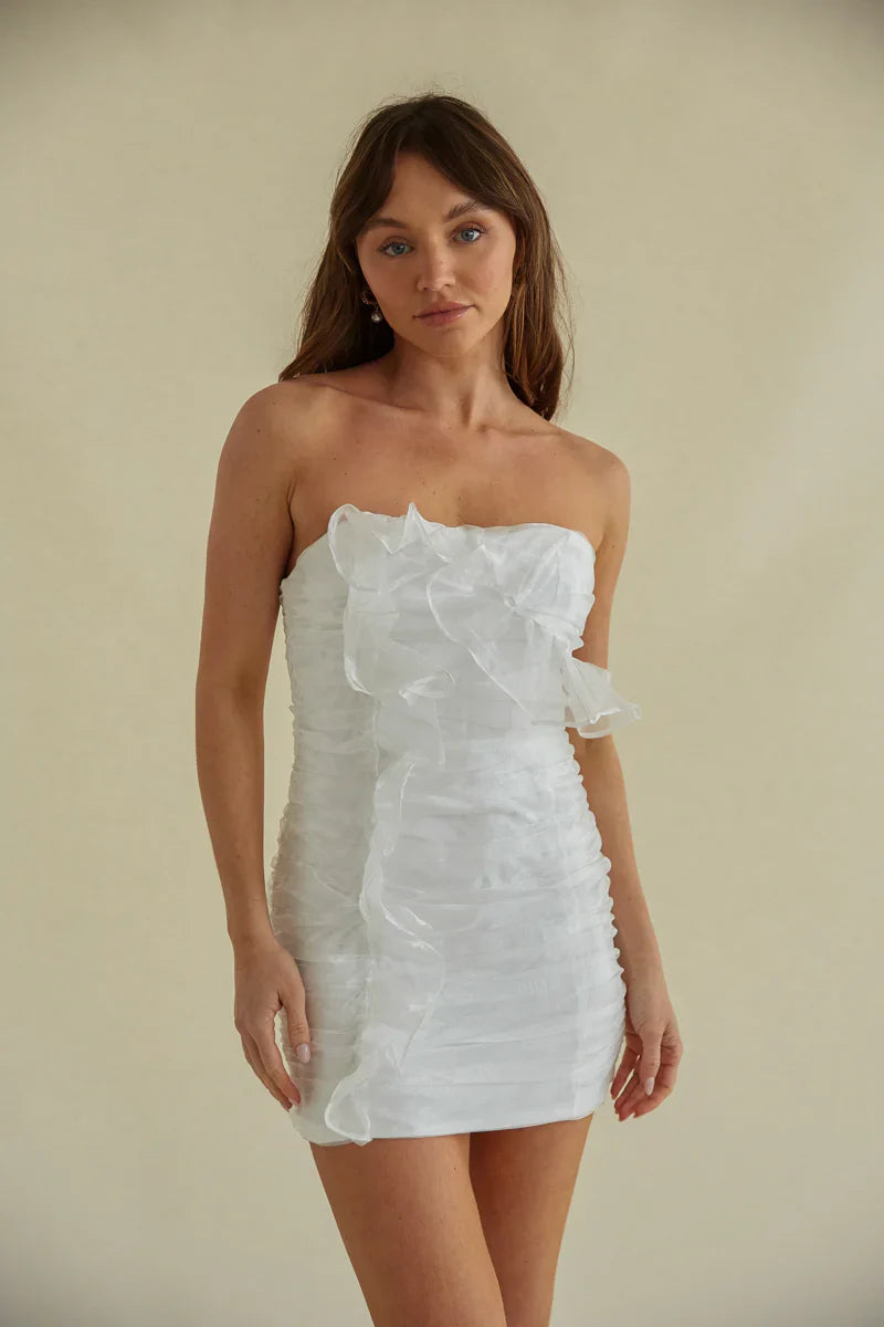 Sam Ruched Organza Bodycon Mini Dress